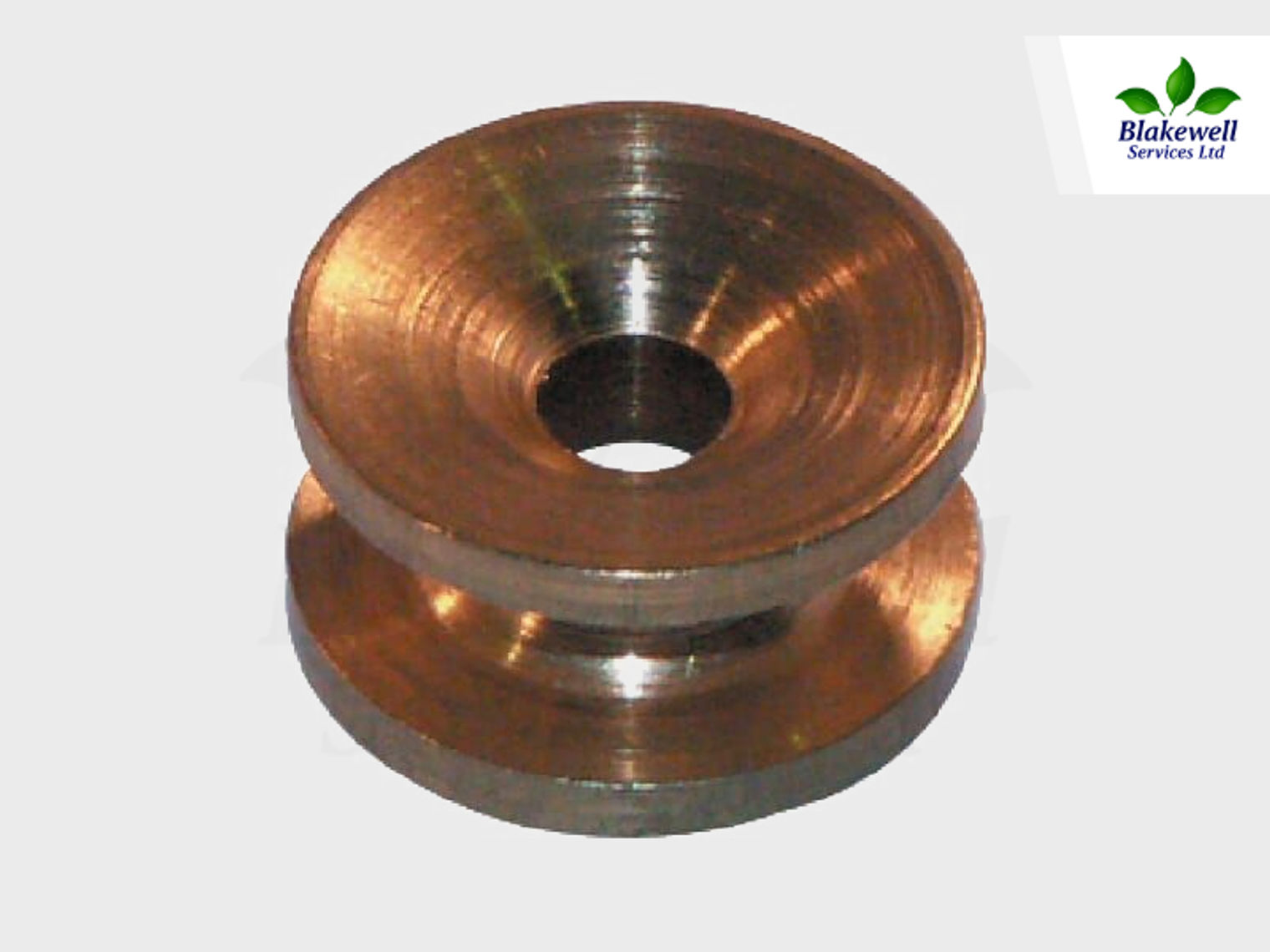 FGP008910~1