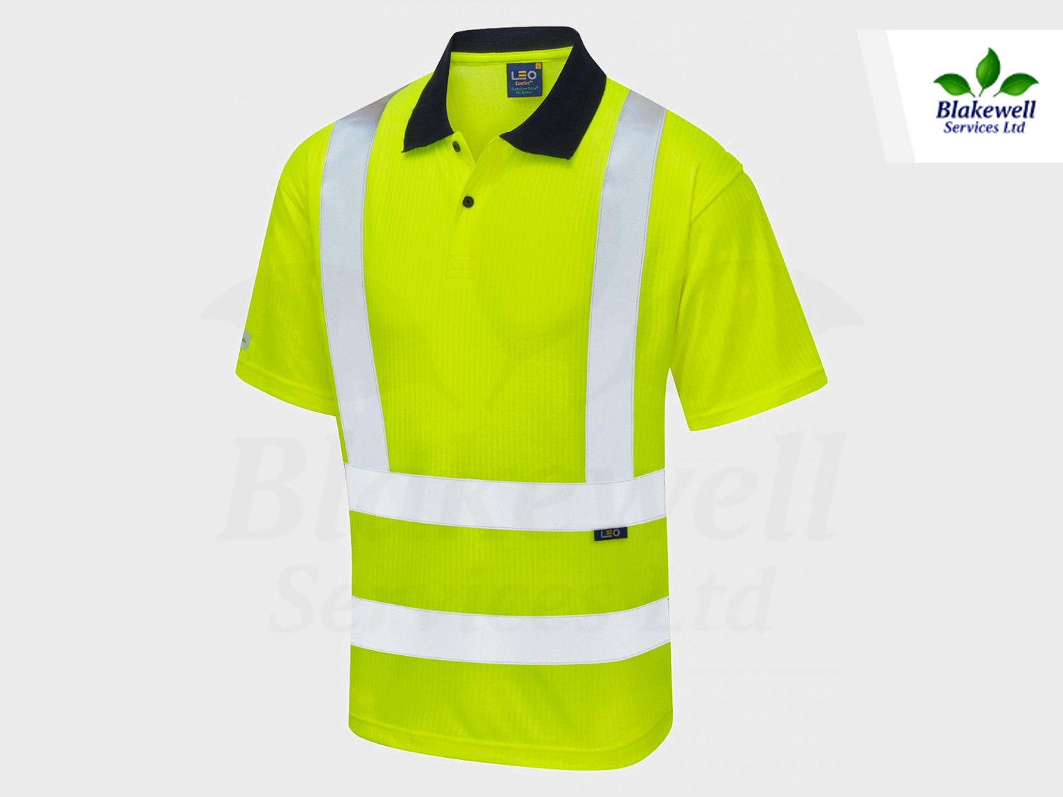 P01-Y-LEO-XL~1
