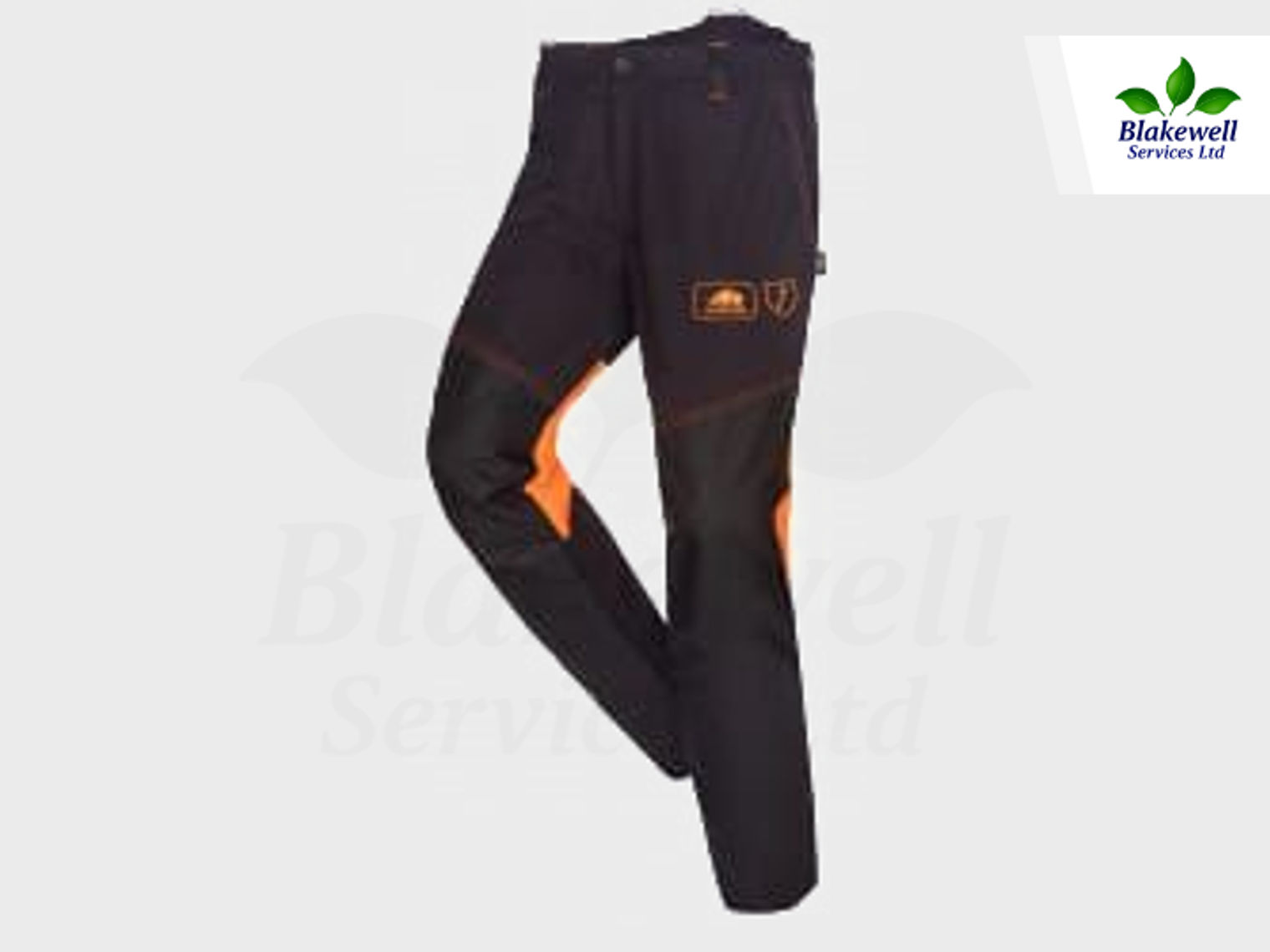 1RB4A2PAS013M~1