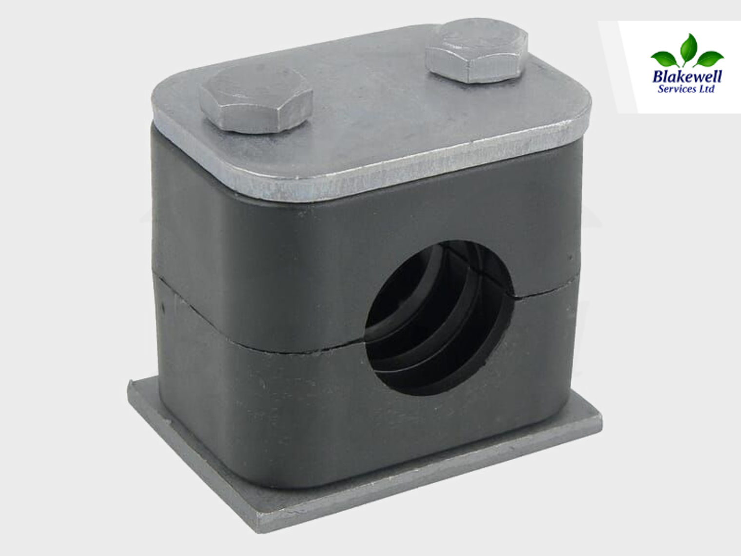RS216P001~1
