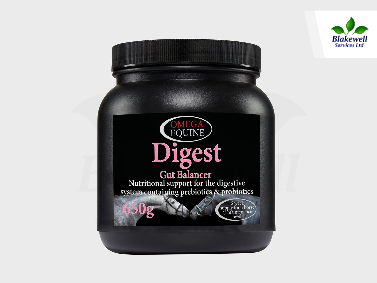 OE-DIGEST-650~1